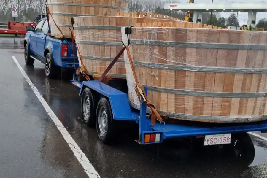 Remolque Cama Baja